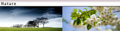 istock-nature